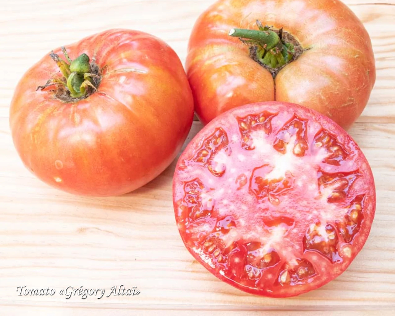 Tomato Gregory Altai